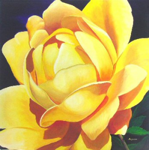 Yellow Rose