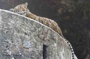 Old Fort - Tiger