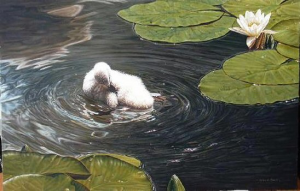 Cygnet