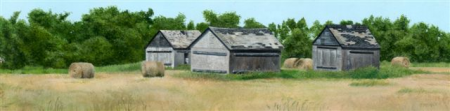Old Bones and Bales