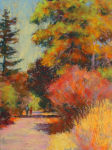A fall Walk