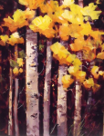 Aspen Glow