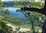 Beach at Montague