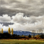 Field in Fleeting Light