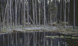 Elk At Yellowstone