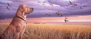 Prairie Watch - Taylor