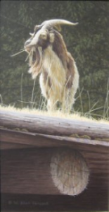 Rooftop Grazing - Combs Goat Rooftop Grazing - Combs Goat