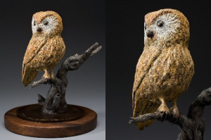Nightshift - Saw Whet Owl