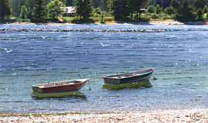 Boats in the Narrows
