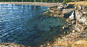 Clear Waters
