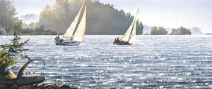 Sunlit Sails