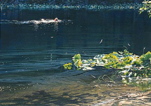 The Swimmer