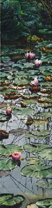Water Lilies at Dawn