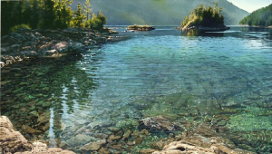 Lagoon Cove