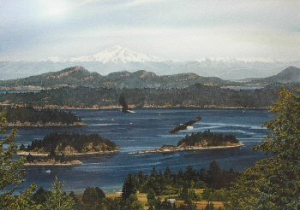 Salt Spring View Salt Spring View