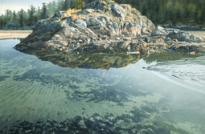 Otter in the Lagoon