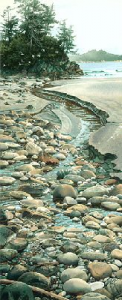 Seabound Stream