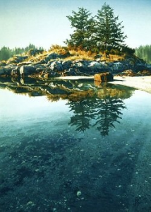 Dawntide