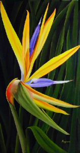 Bird Of Paradise