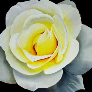 Iceberg Rose