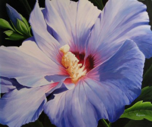 Blue Rose of Sharon