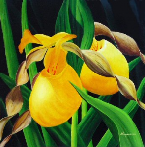 Lady Slippers