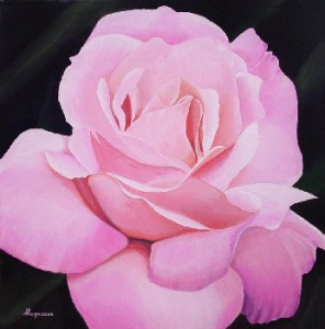 Pink Rose