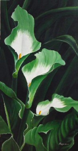 Green Calla Lilies