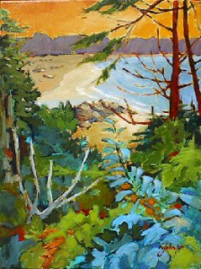 Overlooking Mackenzie Beach