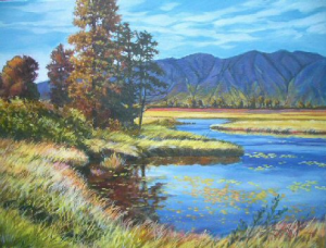 Pitt Marsh