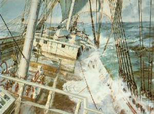 A Down Easter Approaching Cape Horn