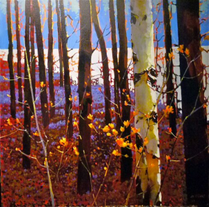 Capilano Poplars