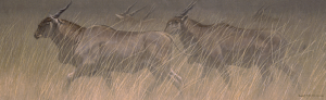Eland Group