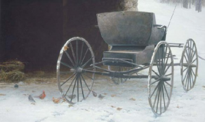 Old Buggy and Winter Birds