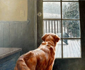 Observing Christmas