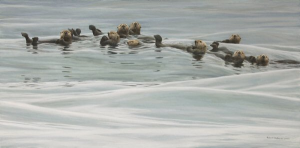 Raft of Otters