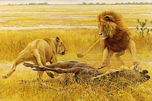 Dispute Over Prey