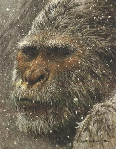 Yeti