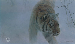 Twilight - Siberian Tiger