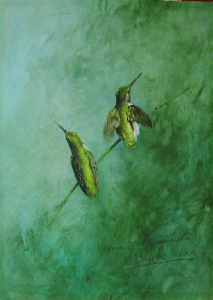Anna's Hummingbird