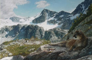 Cougar - Winter Mountains