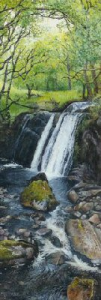 Highland Waterfall