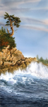 Lookout Islet