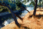 Oak Grove
