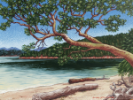The Arbutus Tree