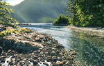 Tidal Stream