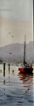 A Day For Sailing