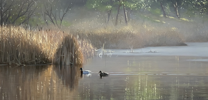 Winter Pond, Mallards
