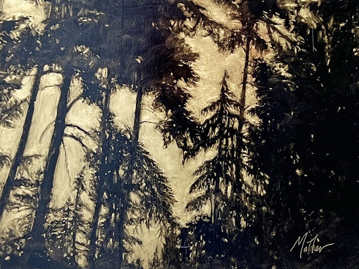 Sheila Mather Golden Light