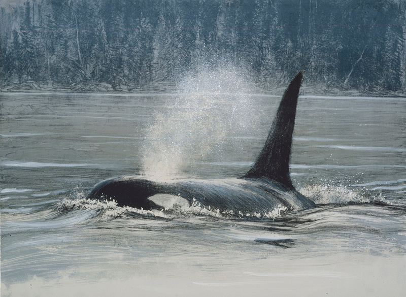 Robert Bateman Fluid Power - Orca